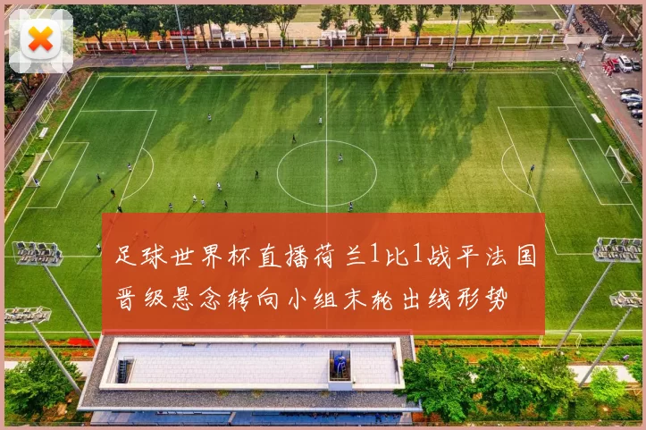 足球世界杯直播荷兰1比1战平法国晋级悬念转向小组末轮出线形势