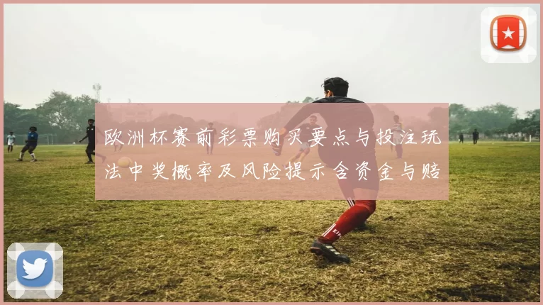 欧洲杯赛前彩票购买要点与投注玩法中奖概率及风险提示含资金与赔率分析