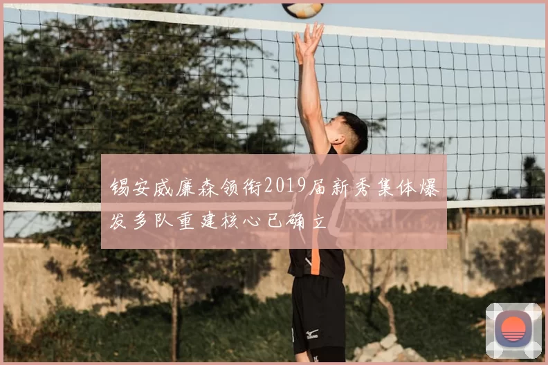 锡安威廉森领衔2019届新秀集体爆发多队重建核心已确立